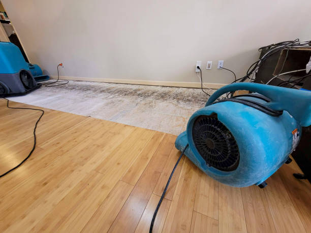 Professional Water Damage Repair technician working in Mitchells, VA